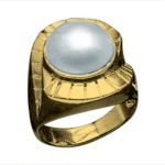 14k-18K Yellow Gold & Pearl Moby
